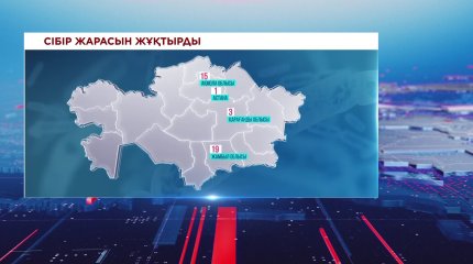 Астанада сібір жарасы тіркелді
