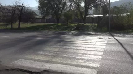 19 жастағы жігіт 3 баласы бар әйелді көлікпен басып кеткен