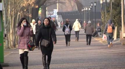 «Тұрмыстық зорлық-зомбылықты криминализациялау қажет»,- сарапшы