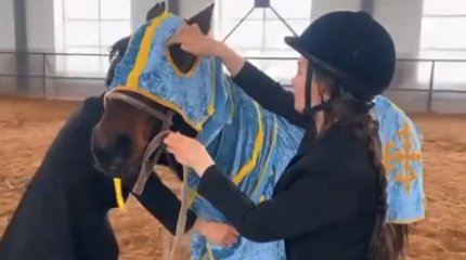 Актюбинский полицейский шьёт накладки для лошадей