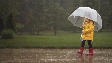Дождливо и снежно, но тепло: прогноз синоптиков на три дня