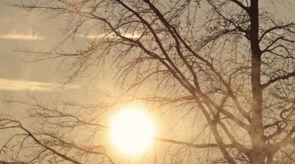 До 25 градусов тепла: погода на 17 ноября в мегаполисах Казахстана