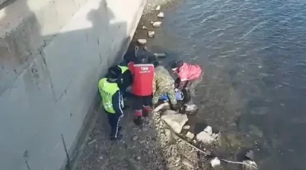 Өскеменде бойжеткен қыз жол жиегіндегі қоршау қабырғадан төменге құлап кетті