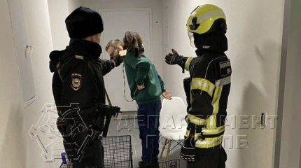 Обезьяна взяла в заложники мужчину после семейной ссоры