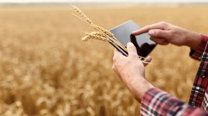 День работников сельского хозяйства отмечают в Казахстане