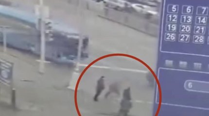 Сам прыгнул под колёса: появились подробности смертельного наезда водителя автобуса на пешехода в Караганде
