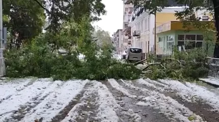 Болгарияда кенеттен күн бұзылып, дауылдан екі адам көз жұмды