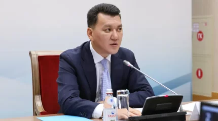 Саяси-экономикалық реформалармен қатар әлеуметтік-гуманитарлық салада да маңызды реформалар жүзеге асты - Ерлан Қарин