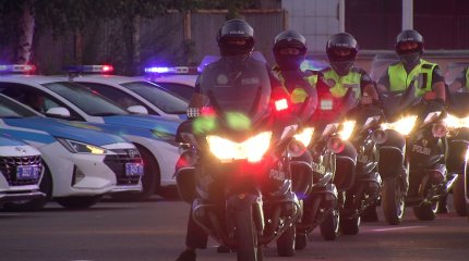 Глава МВД доложил Токаеву об очищении системы внутренних дел от недостойных сотрудников