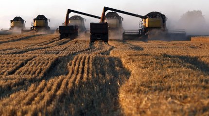 В 2023 году из республиканского бюджета выделено 100 млрд тенге для выдачи 17 тыс. микрокредитов.