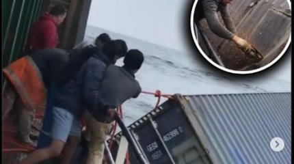 Рыбаки нашли в океане контейнер набитый новыми айфонами