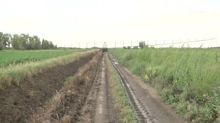 Восемь миллионов гектаров неиспользуемых земель возвращено в госсобственность