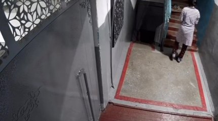 Павлодарская чиновница облила уксусом кошку на лестничной площадке (ВИДЕО)