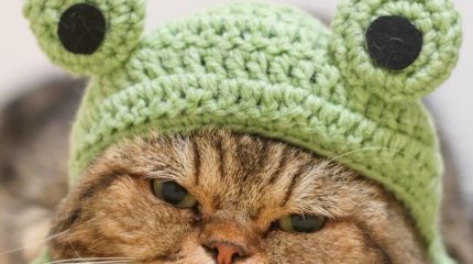 На западе дождь, на юге похолодание: прогноз погоды на вторник