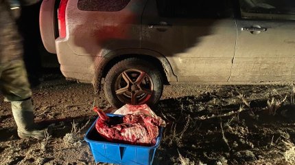 Двум алматинцам грозит тюрьма за охоту на Западе Казахстана