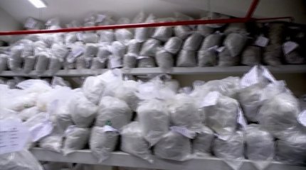 В Перу уничтожили более 19 тонн наркотиков