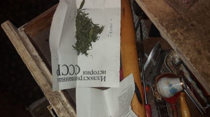 За кашу из конопли костанайца отправят за решетку