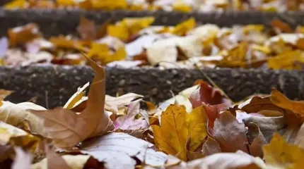 Күздің соңғы күні Қазақстанда ауа райы қандай болады