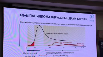 Қазақстанда адам папилломасы вирусына қарсы 11-13  жастағы қыздарға вакцина салынады