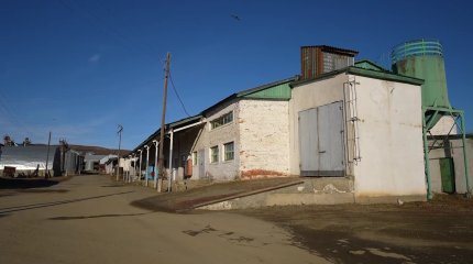 Елімізде алғаш рет лецитин майы Шығыс Қазақстан облысында өндірілмек