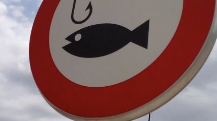 Абайским рыбакам запретили ловить рыбу