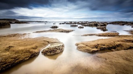 Труп нашли на берегу реки в ЗКО