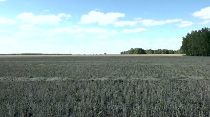 Казахстан собрал худший за три года урожай