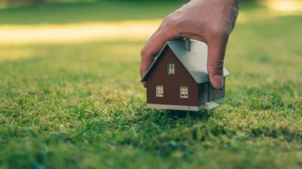 270 земельных участков незаконно выделялись под строительство элитных дач в Туркестанской области