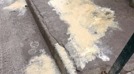 Караганда утопает в жирных лужах пищевых отходов общепита