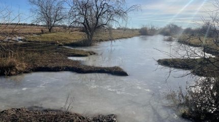 Павлодар облысында көпбалалы ана табылмай жатыр