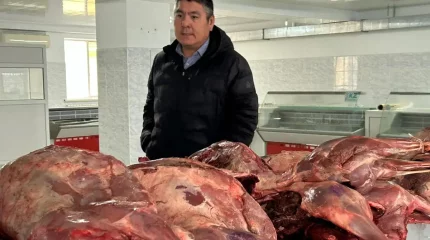 Ақтөбеде киік еті сатылымға шығарылды