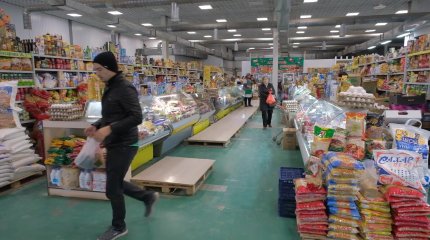 Атырауда базарда жүрген егеуқұйрықтар жұртты шошытты