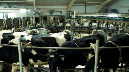 Жергілікті тауар өндірушілер өндіріс қуатын арттыруда