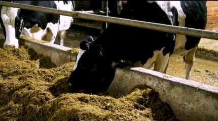 Костанайские фермеры получили господдержку