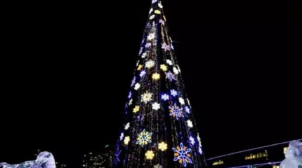 Елордада бас шырша қашан жағылатыны белгілі болды