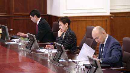 "231 млрд теңге бюджет қаражатын жұмсауда заң бұзушылық анықталған",-министр