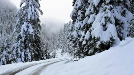 Синоптиктер Қазақстанда аяз қашан басылатынын айтты