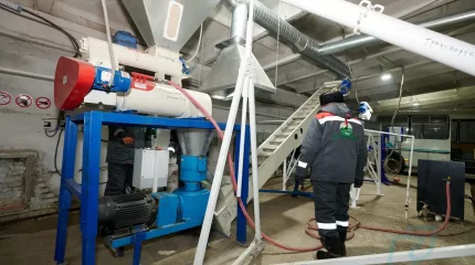 Мал терісінен протеин өндіретін зауыт ашылды