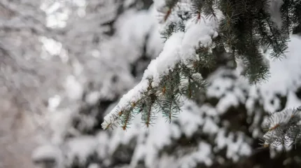 Қазақстанда 14 желтоқсан күні ауа райы қандай болады