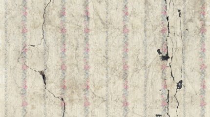 Землетрясение зафиксировано в Казахстане