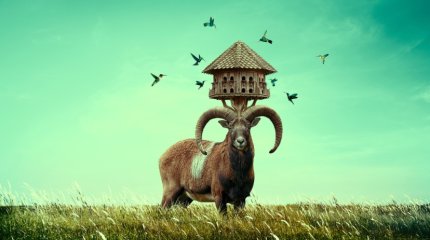 Тельцы, скромность - в сторону; Стрельцы, не разбрасывайтесь деньгами: советы звёзд на 15 декабря