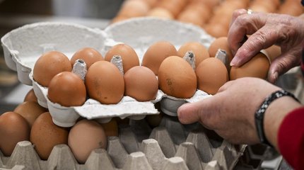 В ЗКО резко подорожали яйца