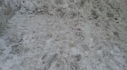 Су басу қаупі жоғары: Жетісу облысында қар еріп жатыр