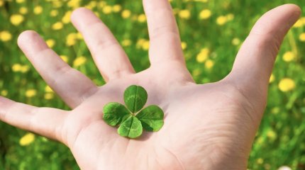 У Тельцов финансовые авантюры, у Весов - особая удача: что еще сулят звёзды 19 декабря