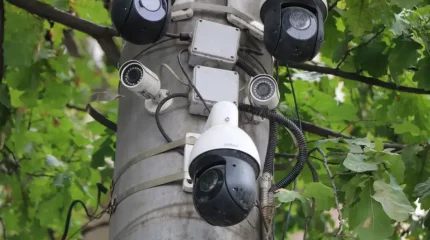 Алматыда Sergek камералары енді жаяу жүргіншілер жолағында адамдарды өткізбеген жүргізушілерді түсіреді