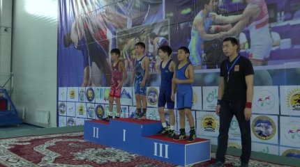 Талғарда Қарақұл Татанұлы атындағы еркін күрестен облыстық турнир өтті