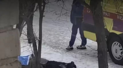 Петропавлда қала орталығында әйелдің мәйіті табылды