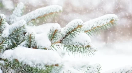 Үш күнге синоптиктер болжамы