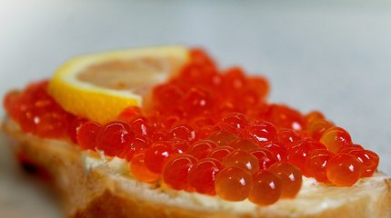 Кишечную палочку обнаружили в красной икре