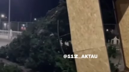 Новогодняя ёлка рухнула в Мангистау